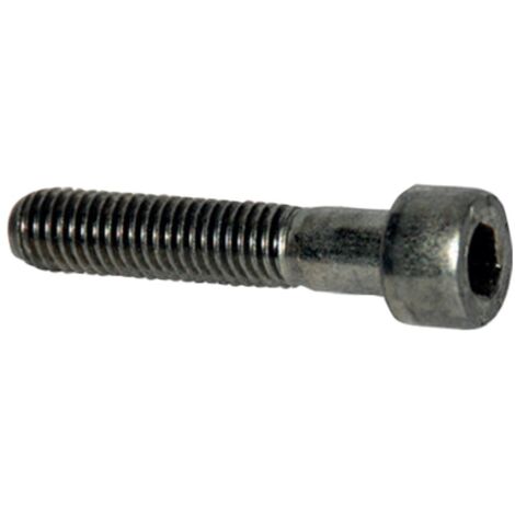 SW-II M8X30mm A2 (100 Pz.) (1/5)