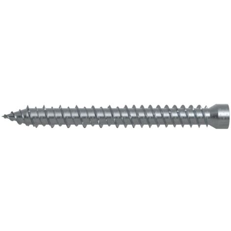 Vite muro testa cilindrica FFSZ 5x62 T15 (50 Pz.)