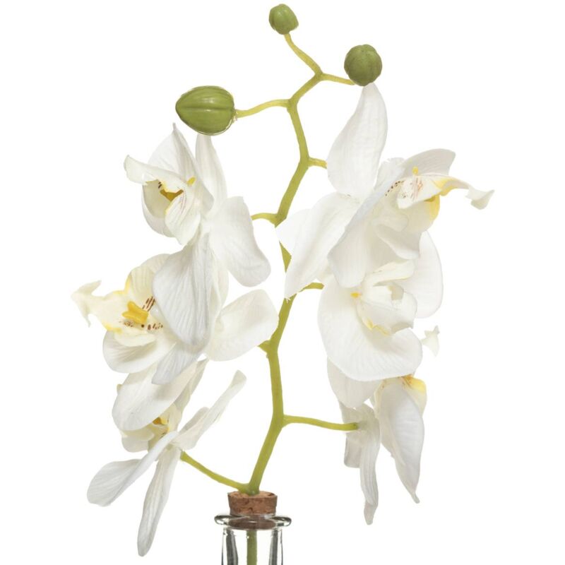 Orchidea artificiale edi vaso in vetro h40cm - Atmosphera créateur d' intérieur