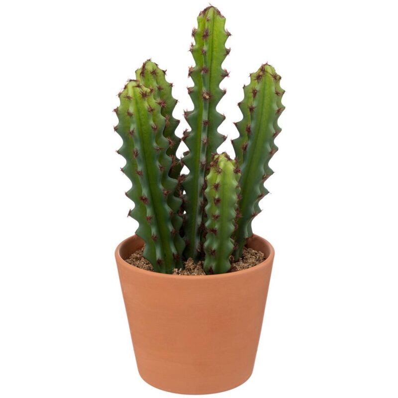 Cactus decorativo, ceramica - Atmosphera, créateur d'intérieur