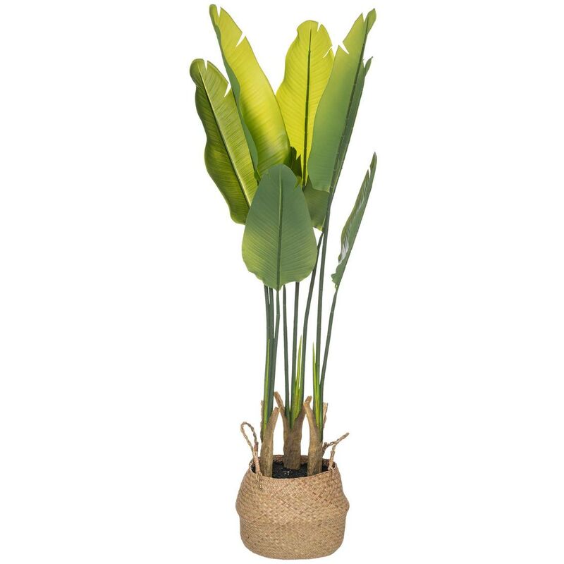 Pianta artificiale di strelitzia vaso di cemento d35cm - Atmosphera  créateur d'intérieur