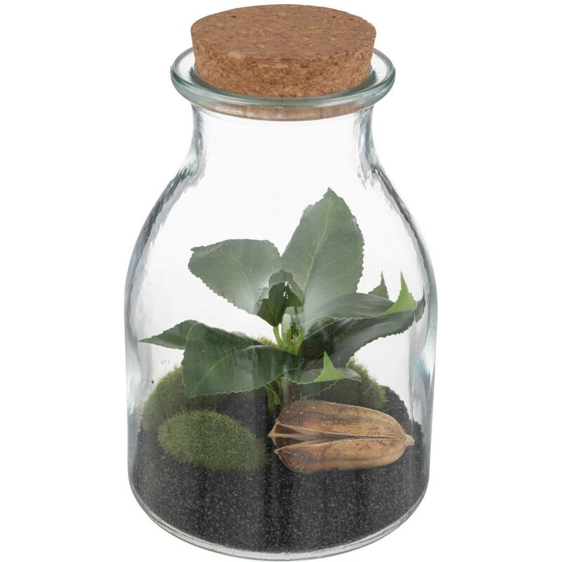 Terrarium Damigiana 5 litri – Il Giardino di Vetro