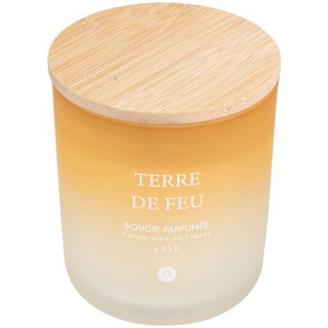 Candela profumata sana 255g vaso di vetro terre de feu - Atmosphera créateur d'intérieur (1/2)