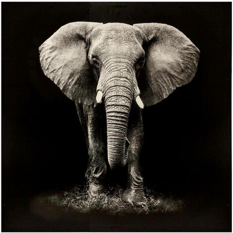 Elefante in tela stampata 100x100cm - Atmosphera créateur d'intérieur (1/3)