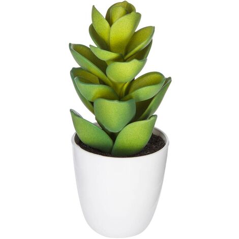 Pianta succulenta e cactus H18cm - Modello a - Atmosphera créateur d'intérieur