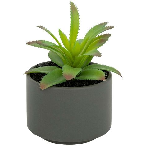 Pianta grassa in vaso H13 - Modello a grigio - Atmosphera créateur d'intérieur
