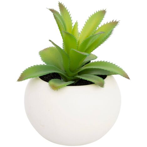Pianta grassa in vaso H13 - Modello f bianco - Atmosphera créateur d'intérieur