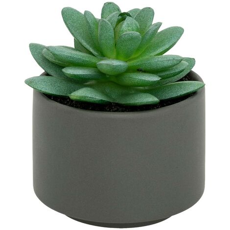 Pianta grassa in vaso H13 - Modèle c/gris - Atmosphera créateur d'intérieur