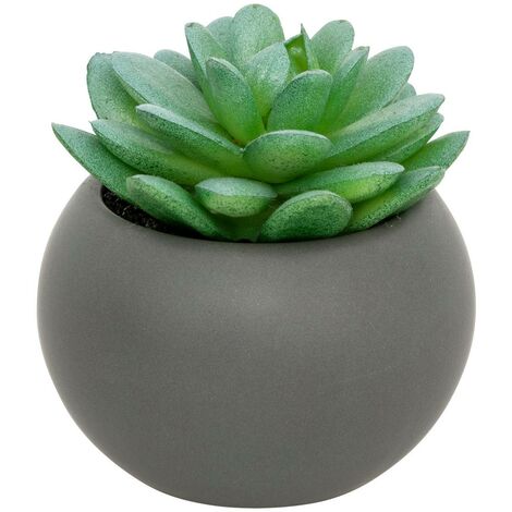 Pianta grassa in vaso H13 - Modèle h/gris - Atmosphera créateur d'intérieur