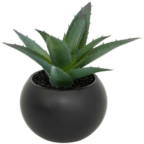 Pianta grassa in vaso H13 - Modello e nero - Atmosphera créateur d'intérieur
