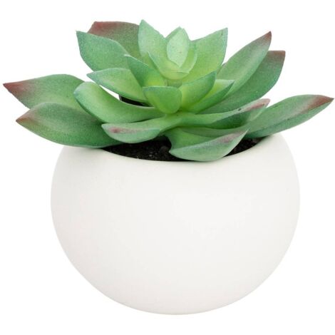 Pianta grassa in vaso H13 - Modèle g/blanc - Atmosphera créateur d'intérieur