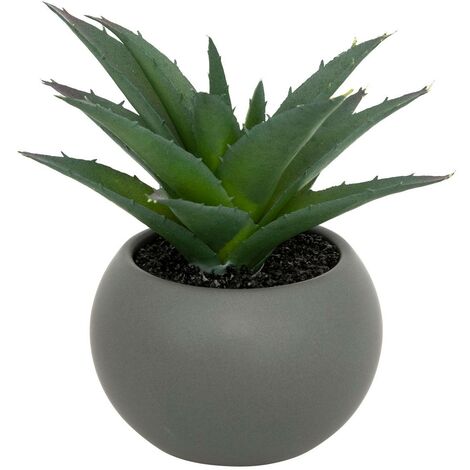 Pianta grassa in vaso H13 - Modèle e/gris - Atmosphera créateur d'intérieur