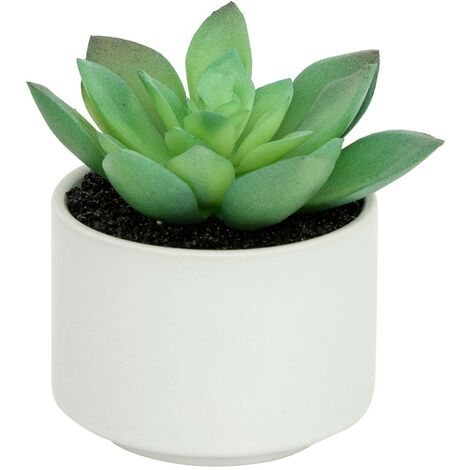 Pianta grassa in vaso H13 - Modello d bianco - Atmosphera créateur d'intérieur