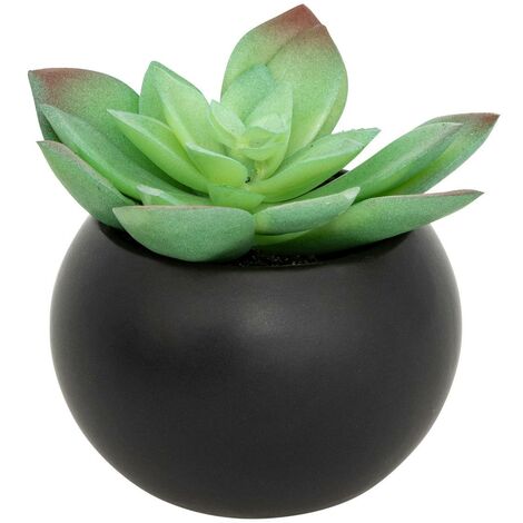 Pianta grassa in vaso H13 - Modèle g/noir - Atmosphera créateur d'intérieur