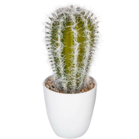Pianta succulenta e cactus H18cm - Modello e - Atmosphera créateur d'intérieur