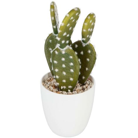 Pianta succulenta e cactus H18cm - Modello c - Atmosphera créateur d'intérieur (1/5)