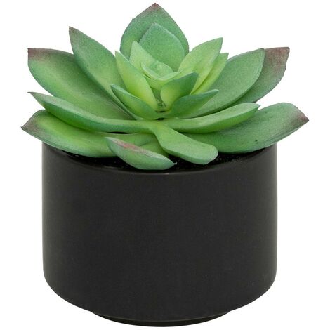Pianta grassa in vaso H13 - Modello d nero - Atmosphera créateur d'intérieur
