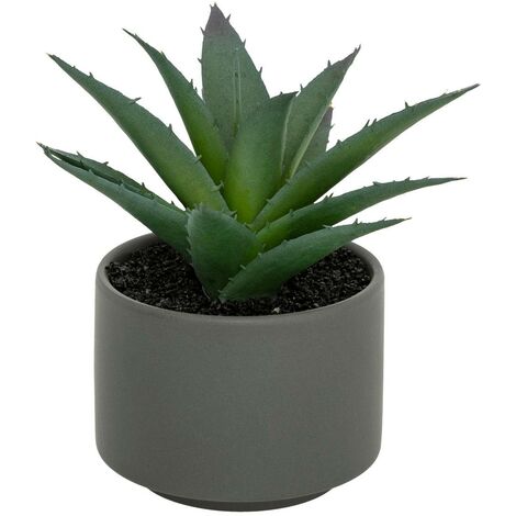 Pianta grassa in vaso H13 - Modello b grigio - Atmosphera créateur d'intérieur