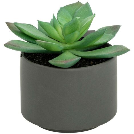 Pianta grassa in vaso H13 - Modèle d/gris - Atmosphera créateur d'intérieur