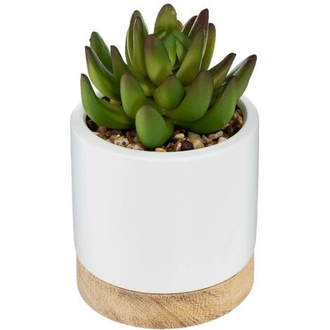 Succulente artificiali in ceramica H12cm - Verde chiaro - Atmosphera créateur d'intérieur