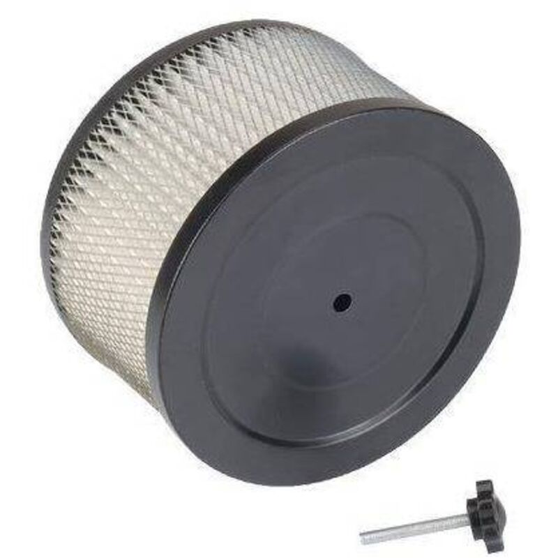 Filtro A Cartuccia Hepa Lavabile Per Aspiracenere Cinder 602/603 Valex
