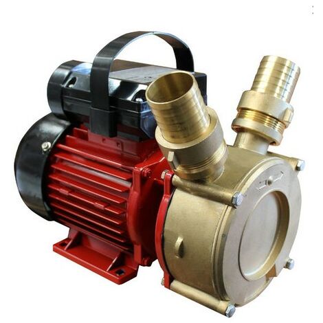 Bricoferr Pompe de transvasement 70L/min, 1000W, Hauteur max. 12m (1/2)