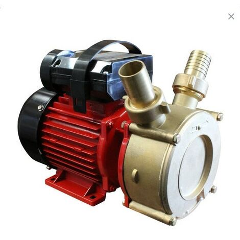 Bricoferr Pompe de transvasement 55L/min, 700W, Hauteur max. 10m (1/2)