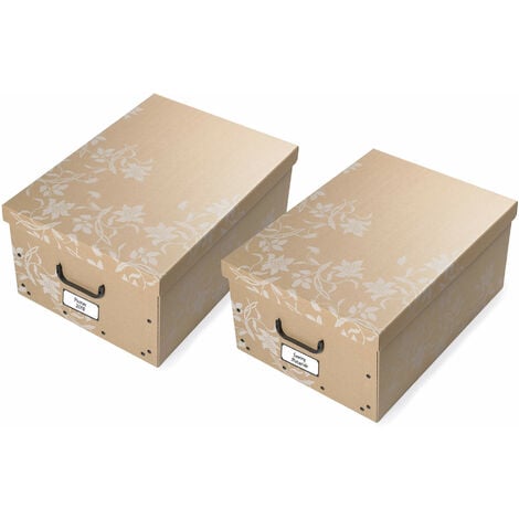 Pack de 2 Cajas Organizadoras con Tapa, Plastico, Diseño