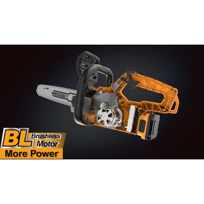 Sega A Traforo Elettrica Holzmann DKS21Pro - Per Lavori Di Precisione Su Legno, Con Illuminazione LED