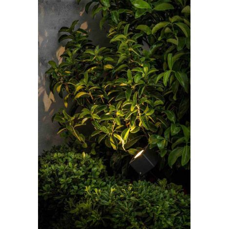 Lampada Frontale Coast FL75 In Alluminio - 215 Lumen, Impermeabile, 3 Batterie Incluse - Nera/Arancione