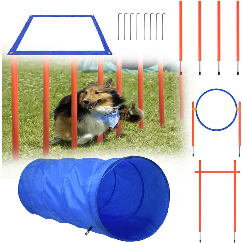 YUENFONG Ensemble d'équipement d'agilité pour Chien, Entraînement  d'obstacles tunnel pour chiens Animaux de Compagnie - Cdiscount Animalerie