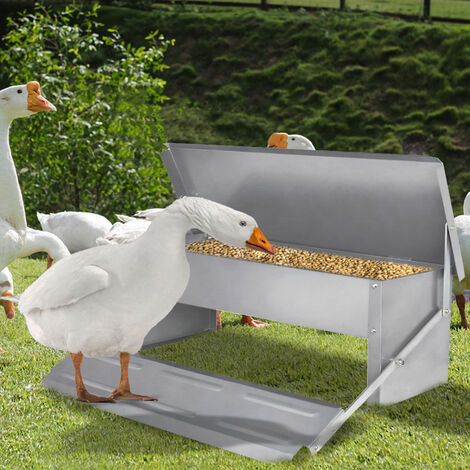 Distributeur Automatique Nourriture Poules Aopunly 5kg - Pédale Automatique - Acier Galvanisé
