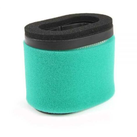 Filtre à air pour moteurs Briggs & Stratton Intek 121600 series (1/5)