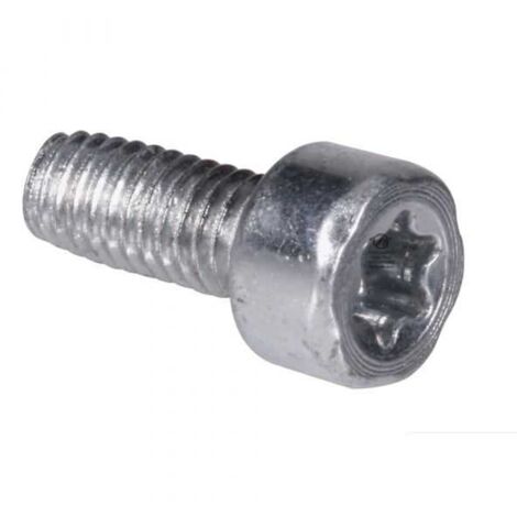 Vis Torx 27 M4 x 10 pour tronçonneuse Stihl 024 MS240 (1/4)