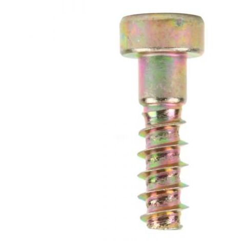Vis torx pour tronçonneuse Stihl 020T 200T (1/3)