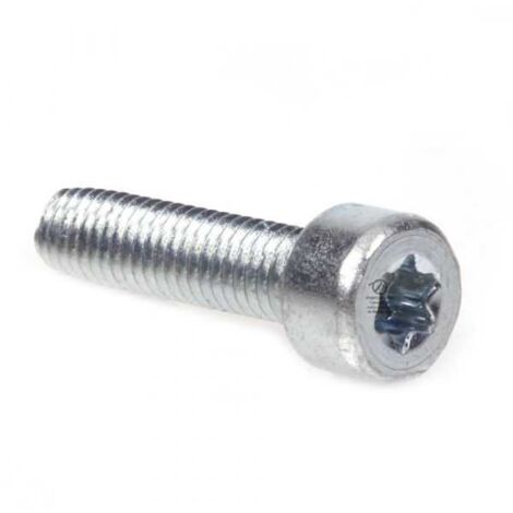 Vis Torx 27 M5 x 20 pour tronçonneuse Stihl 018 MS180 (1/4)