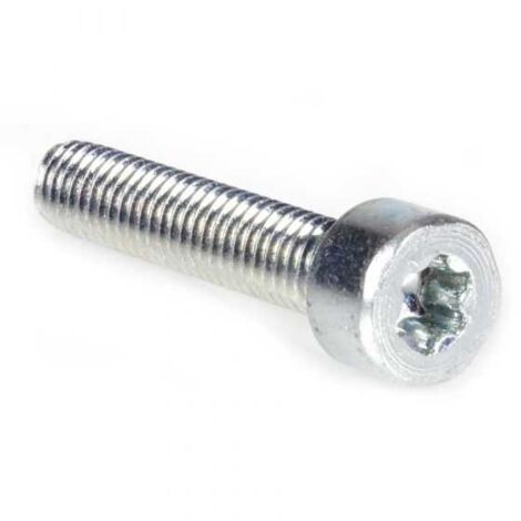 Vis Torx 27 M6 x 30 pour tronçonneuse Stihl 024 MS240 (1/4)
