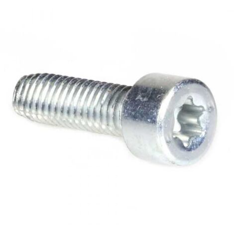 Vis Torx 27 M6 x 20 pour tronçonneuse Stihl 024 MS240 (1/5)