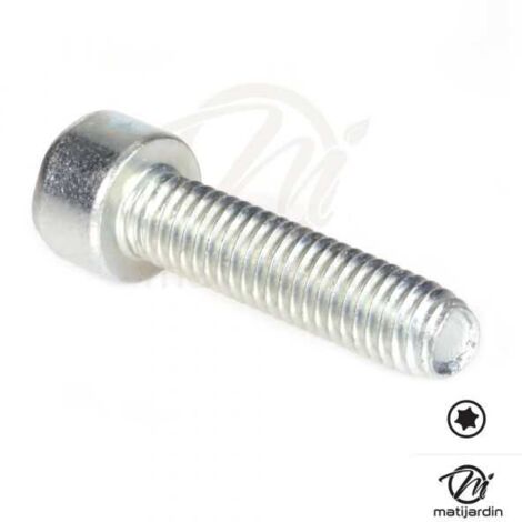 Vis Torx 27 M6 x 25 pour tronçonneuse Stihl 024 MS240 (1/4)