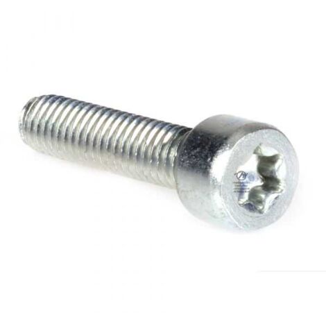 Vis Torx 27 M6 x 25 pour tronçonneuse Stihl 019 MS190 (1/4)