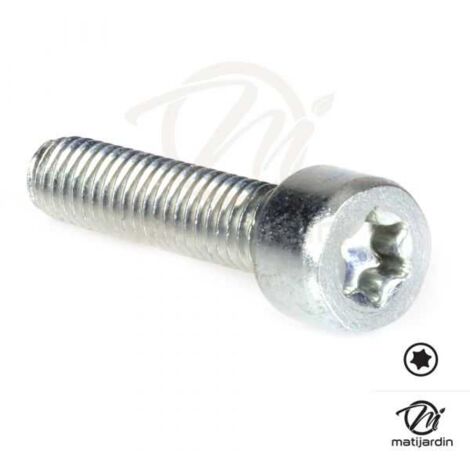 Vis Torx 27 M6 x 25 pour tronçonneuse Stihl 020T 020 MS200 200T (1/4)