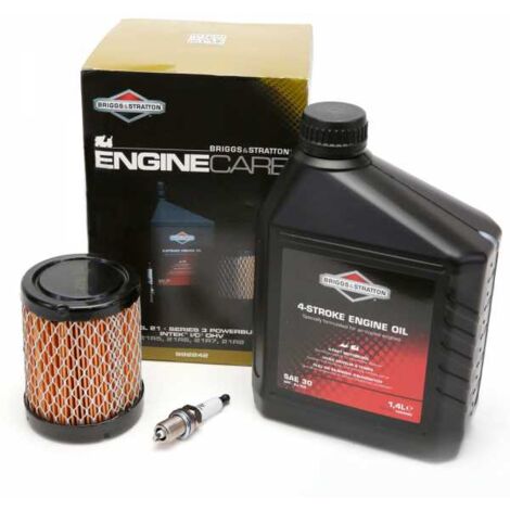 Kit entretien origine pour moteur Briggs & Stratton modèles 21, 21R5, 21R6, 21R7, 21R8, et séries 3 powerbuilt intek I/C OHV (1/4)