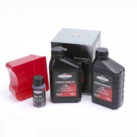Kit entretien origine pour moteur Briggs et Stratton (1/3)