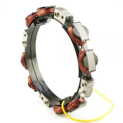 Alternateur de recharge pour moteurs Briggs & Stratton 592829, 392595, 696457, 691065 (1/4)