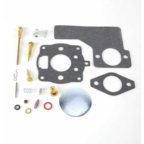 Kit réparation carburateur pour moteur Briggs & Stratton 391071 (1/2)