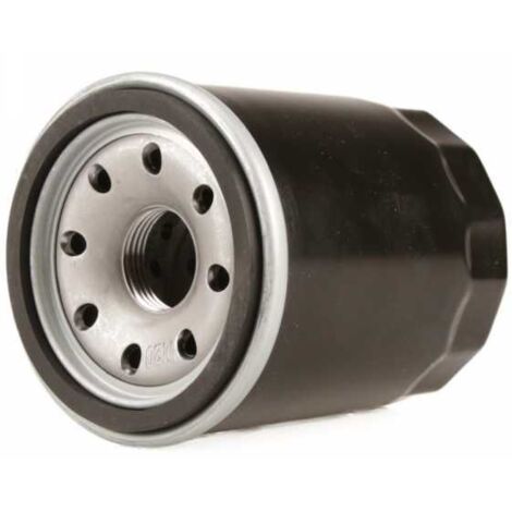 Filtre à huile compatible avec moteur Honda GX610 (1/5)