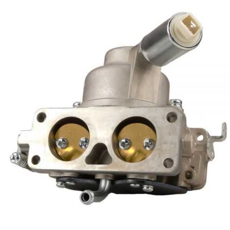 Carburateur pour Briggs & Stratton INTEK TWIN, compatible avec les références 499804, 699709, 791230 (1/5)