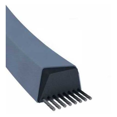 Courroie tondeuse Z34 trapézoïdale 10 x 885 mm (1/5)