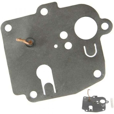 Membrane carburateur en kit pour Briggs & Stratton 391681 (1/3)