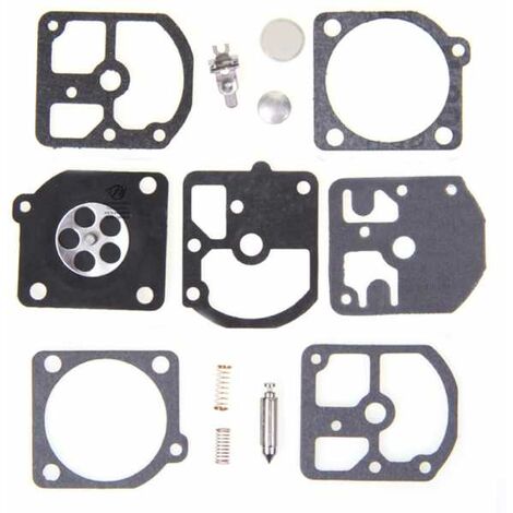 Membrane de remplacement pour Zama C1S (1/2)